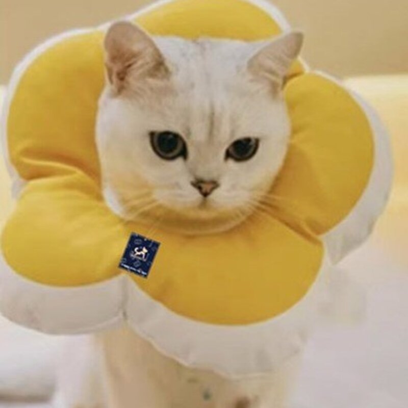 딩동펫 반려동물 데이지 꽃잎 넥카라, 블루, 1개