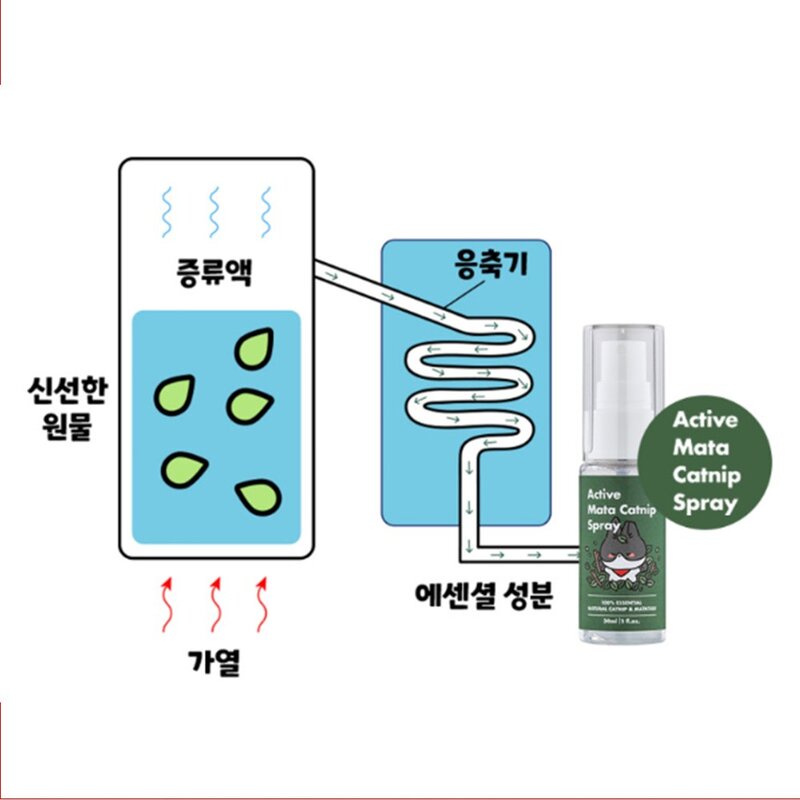 자유펫 액티브 마따캣닢 스프레이 고양이 국산 캣잎 캣닙 원액 30ml, 1개