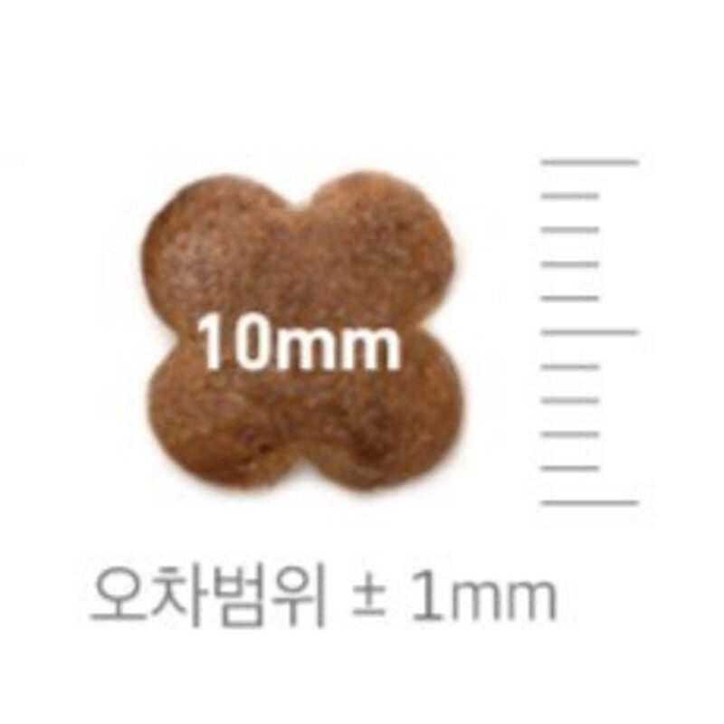 내츄럴랩 전연령용 6제로 플러스 고양이 건식 사료, 1개, 연어, 2kg
