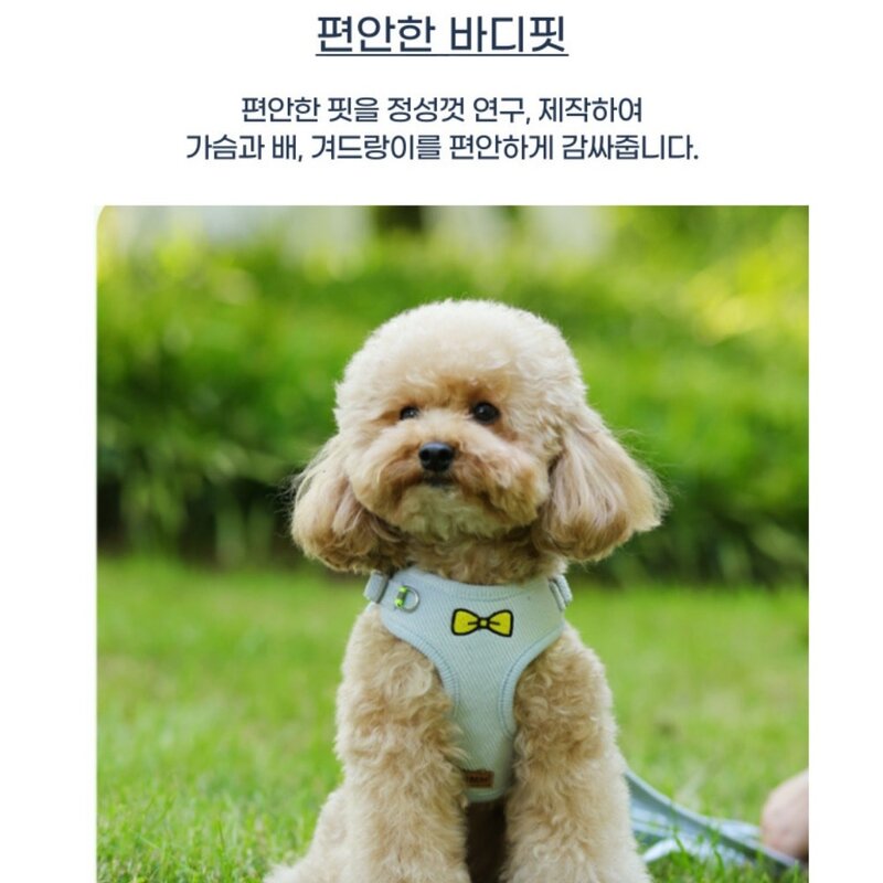 디아쿠아 강아지 고양이 겸용 야광 빛반사 따뜻한 리본 자수 하네스+리드줄, 오렌지, 1개