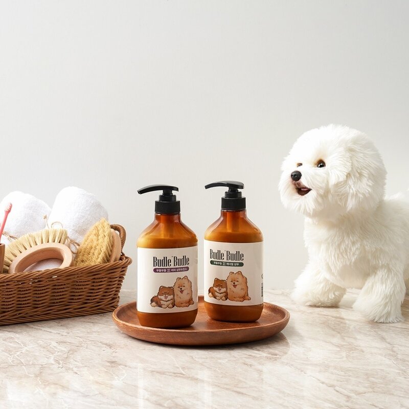 부들부들 NEW 올인원 화이트 샴푸&린스 500ml, 2개