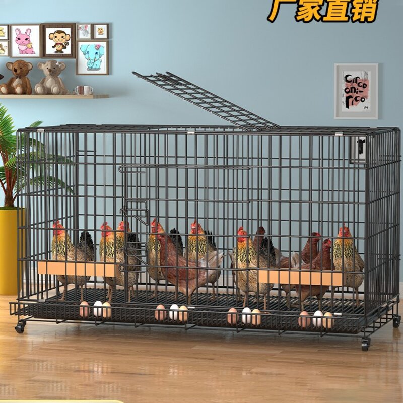 만들기쉬운 조립식 닭장 앵무새용품 병아리육추기 물통 새장, 50*35*42 1마리 적합, 1개