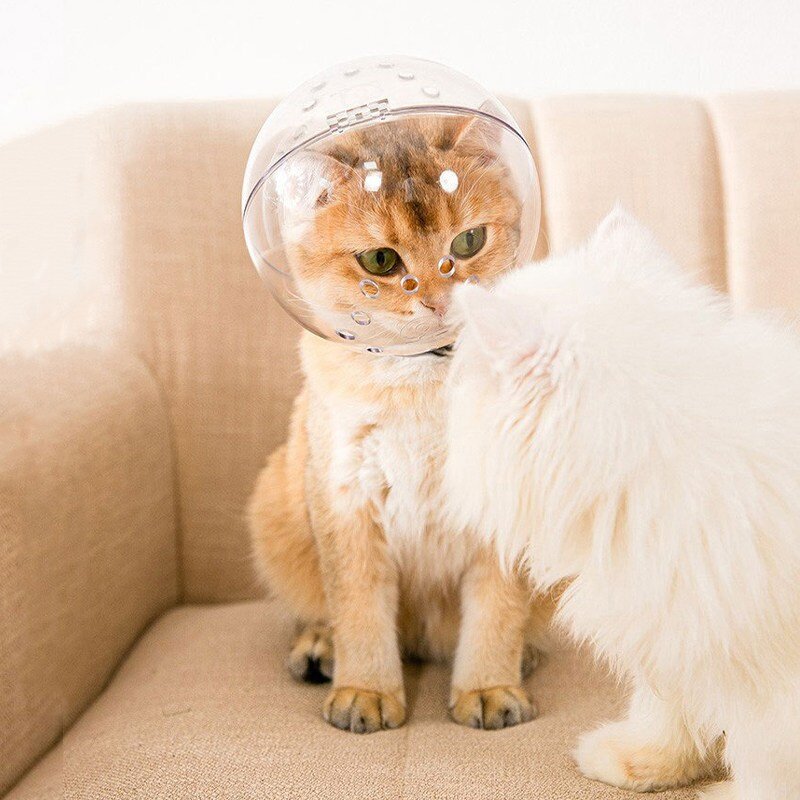 가또나인 고양이 우주 헬멧 입마개, 1개