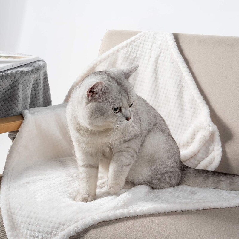 엠보싱 댕냥이 담요 이불 100X70cm 강아지 고양이 애완견 반려견 극세사 밍크 블랭킷
