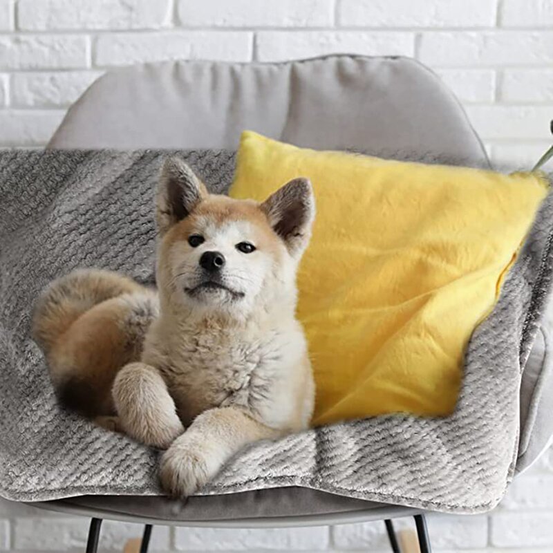 엠보싱 댕냥이 담요 이불 100X70cm 강아지 고양이 애완견 반려견 극세사 밍크 블랭킷