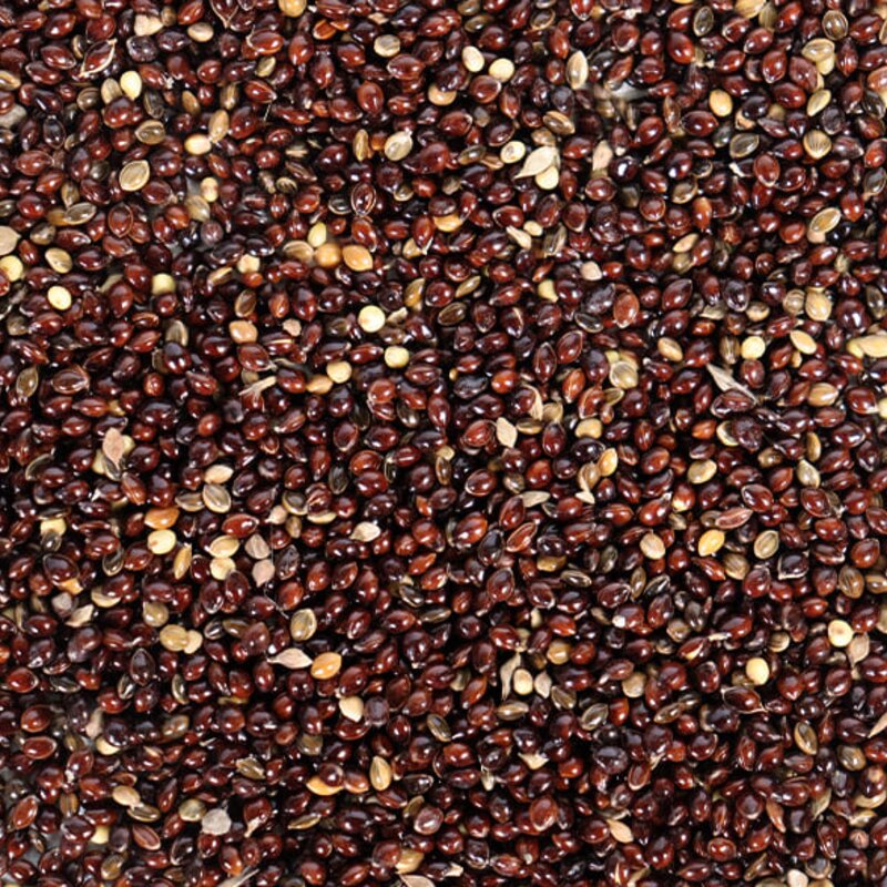 키워쥬 소동물 프리미엄 세척 볶음 개별 알곡 흑기장, 500g, 5개