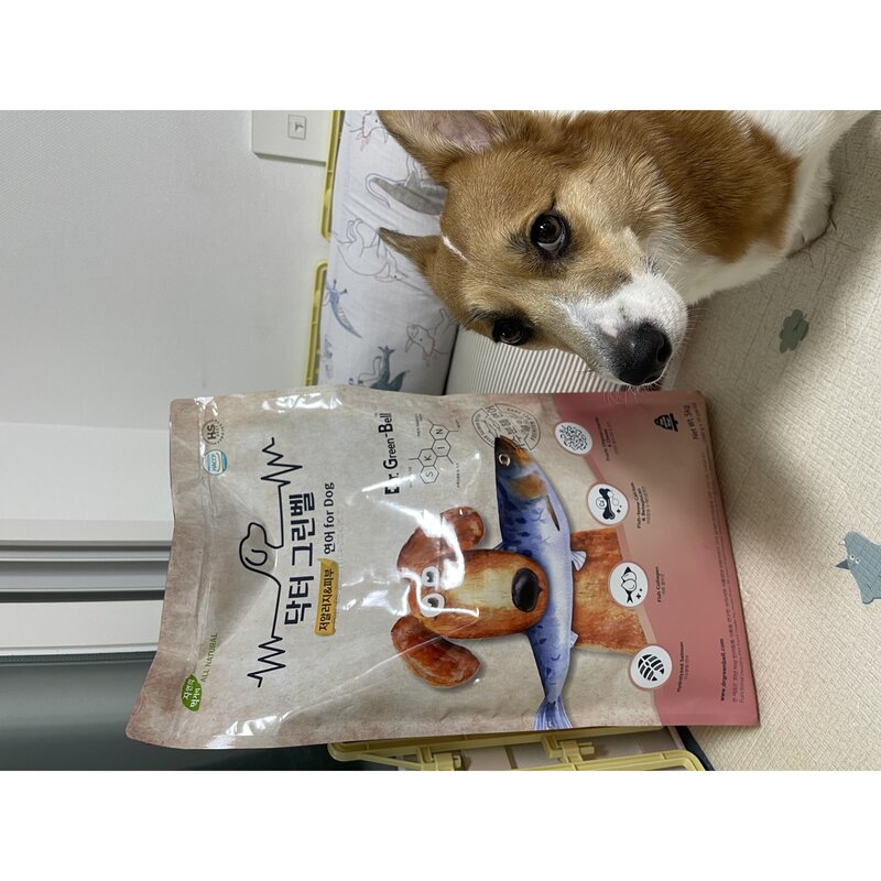 닥터그린벨도그 연어5kg 가수분해강아지사료, 5kg, 1개, 연어