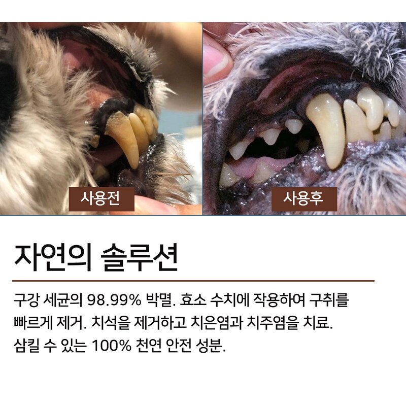 반려 동물 구강 스프레이 D-13, 1개, 30ml