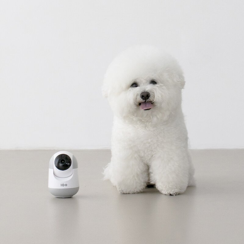 텐플 IOT 스마트 홈카메라 홈캠 강아지CCTV 베이비캠 가정용CCTV, 