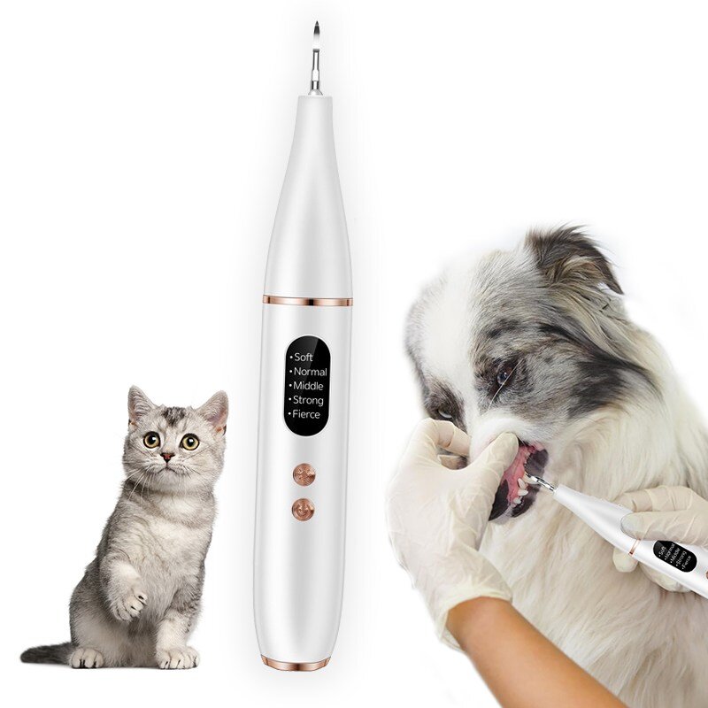 강아지 고양이 반려전용 구강 세척시 usb 충전식 칫솔 화이트 1세트