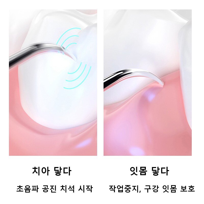 강아지 고양이 반려전용 구강 세척시 usb 충전식 칫솔 화이트 1세트