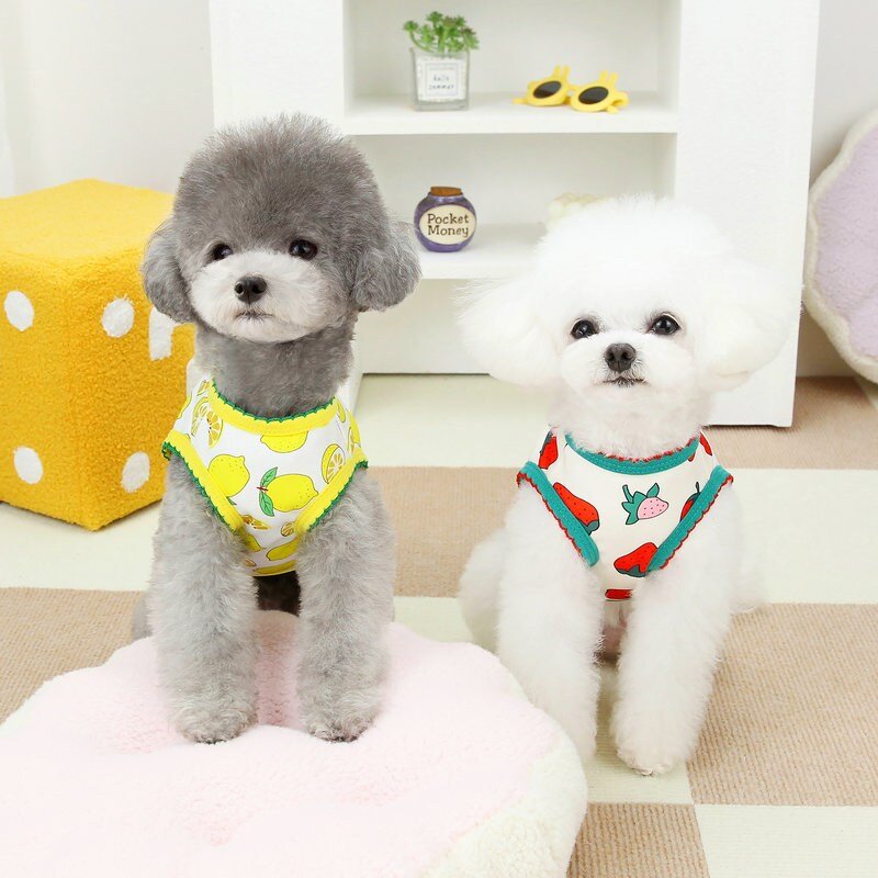 파스텔펫 반려동물 비비드 후르츠 라인조끼, 딸기, 1개