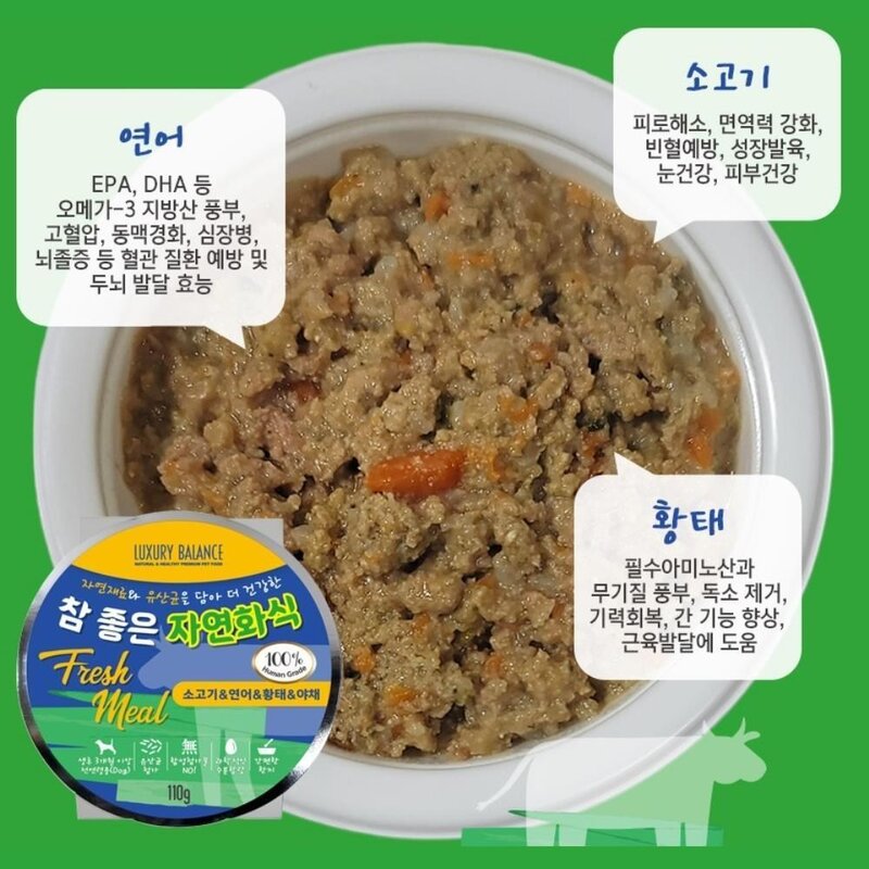 6개 노령견 노견 영양식 반려견 화식 고급 반려견생일