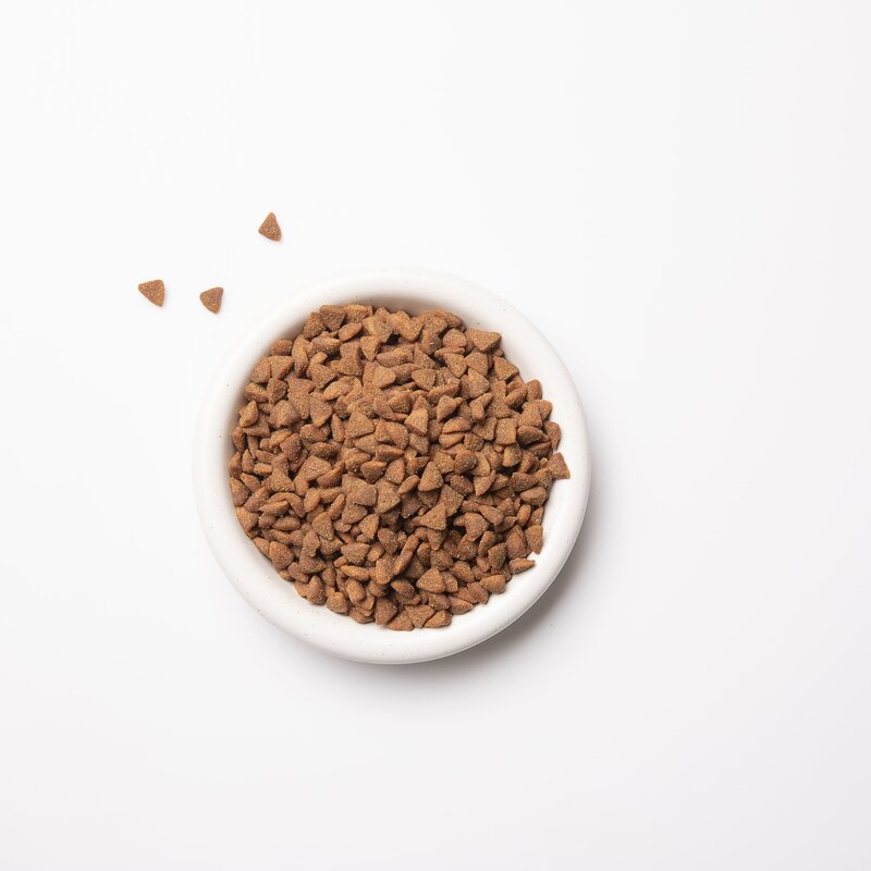 레시피브이 유한양행 강아지 어덜트 스킨앤알러지 소프트 처방식 사료, 알러지 예방, 1.2kg, 1개