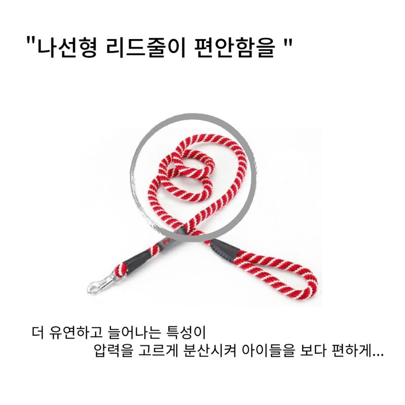 페티오 강아지 리드줄 반사형광 산책 - 심플 & 세련된 베이직플러스 스파이럴 리드줄 10mm -, 블루