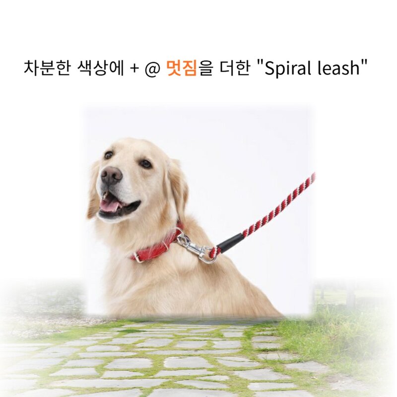 페티오 강아지 리드줄 반사형광 산책 - 심플 & 세련된 베이직플러스 스파이럴 리드줄 10mm -, 블루