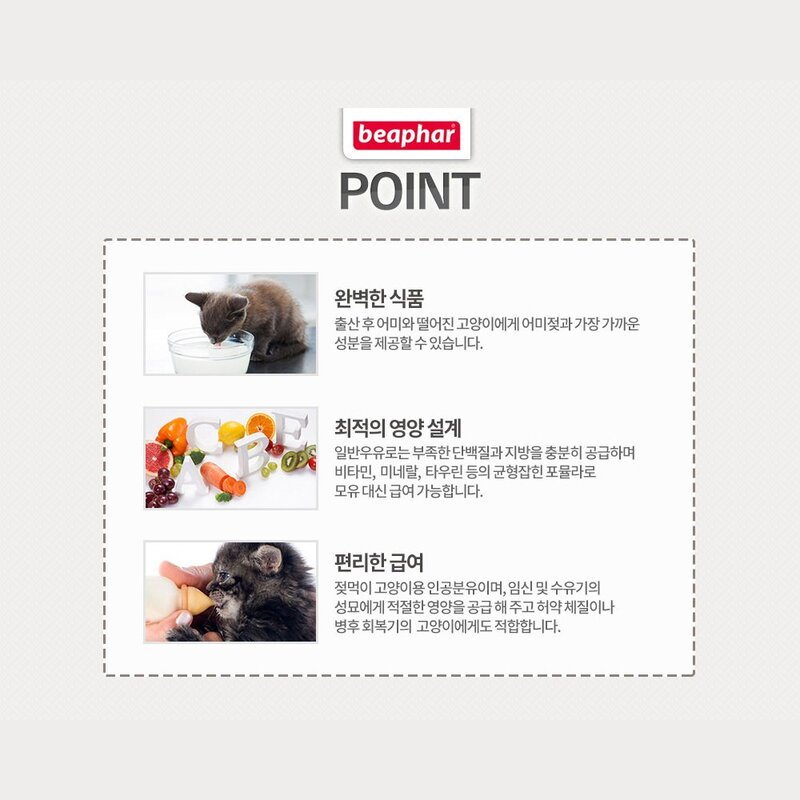 RePet 새끼고양이 냥이 초유 분유 우유 아기고양이 고양이용, 1개, 250g