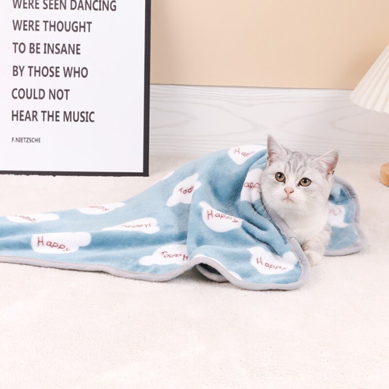 강아지 이불 고양이 극세사 얇은 담요, 블루곰, 1개