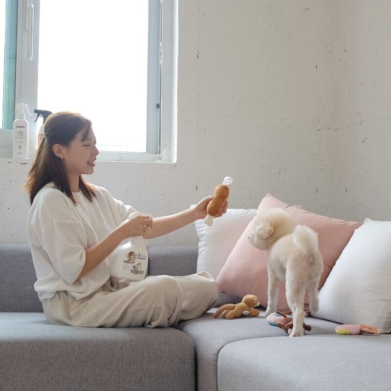 강아지 반려동물 오줌냄새제거제 살균소독 스프레이 4종 1000ml, 레몬향, 1L, 1개