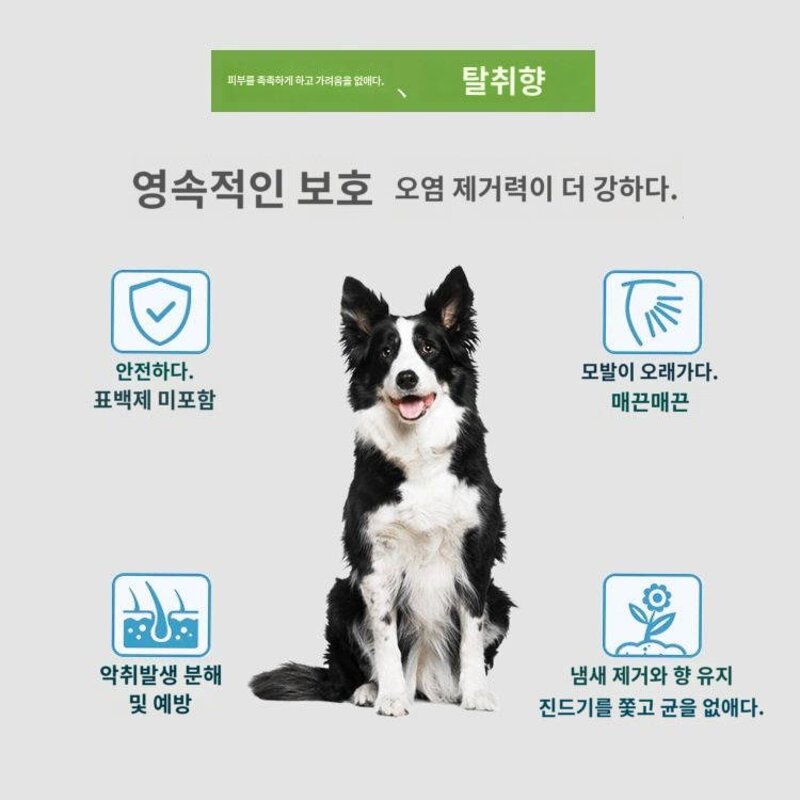 보더워시 전용 강아지 샴푸 워시 프런티어 강아지 탈취 향 남기고 목욕용품, 실속세트(2병총1000ml4종)