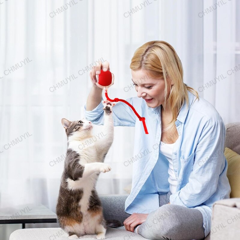 스마트볼 강아지 고양이 자동으로 움직이는 스마트캣볼 무소음 자동공, 그린, 1개