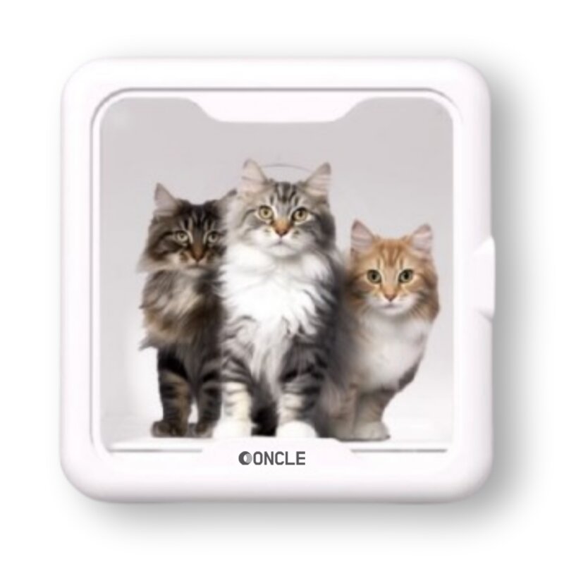 ONCLE 펫드라이룸 초대형 79L 강아지 고양이 애견 건조기 펫 중형견 소형견