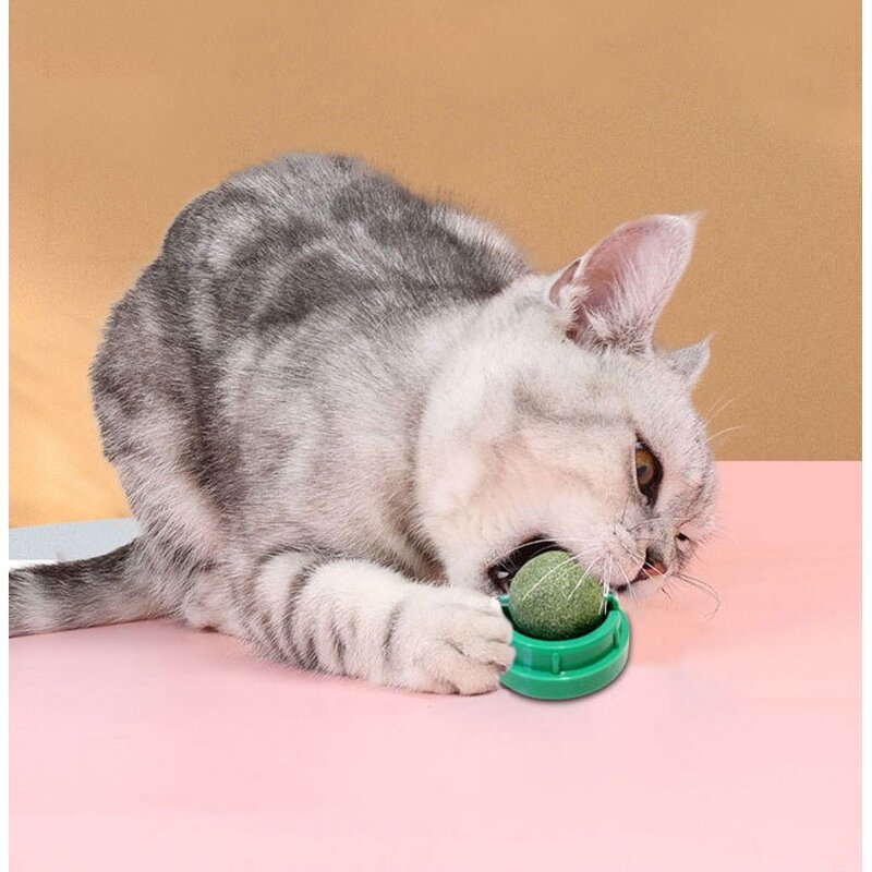 마따따비 캣닢 치석제거 놀이 우주선 고양이 롤링볼 장난감 사탕, 1개, 40g, 박하