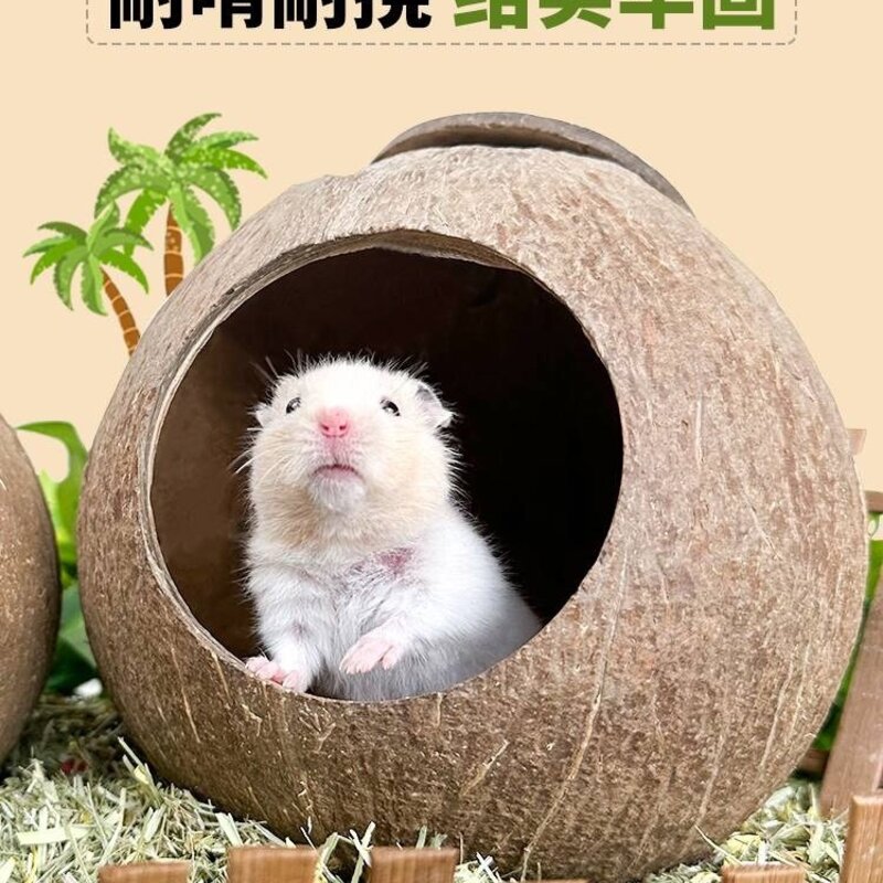고슴도치은신처 햄스터둥지 텐트 소형 작은케이지, L, 귀가 긴 개 트럼펫, 1개