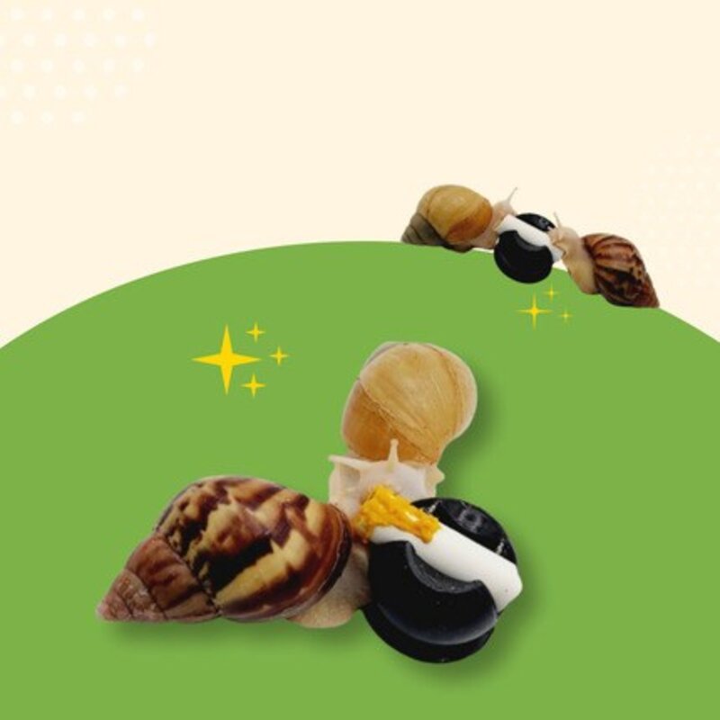 부착식 칼슘제 분필꽂이 달팽이키우기 용품, 부착식 1p 분필꽂이, 1개