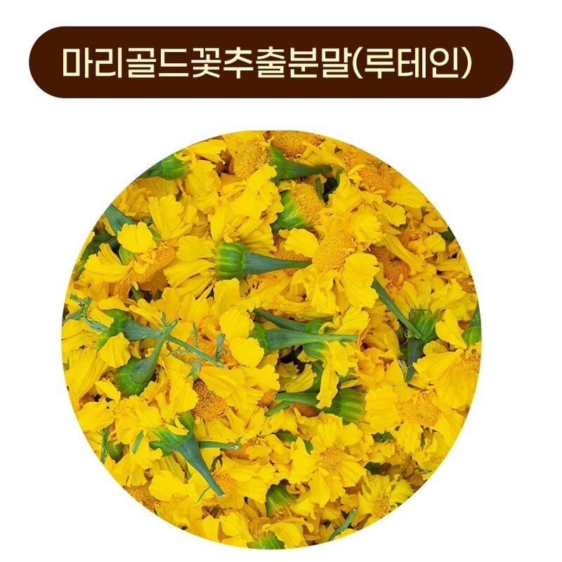 강아지 눈 영양제 눈물자국 백내장예방 대용량 펠렛 메이제이, 1개