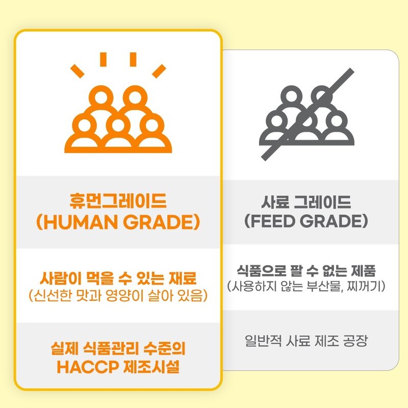 강아지 눈 영양제 눈물자국 백내장예방 대용량 펠렛 메이제이, 1개