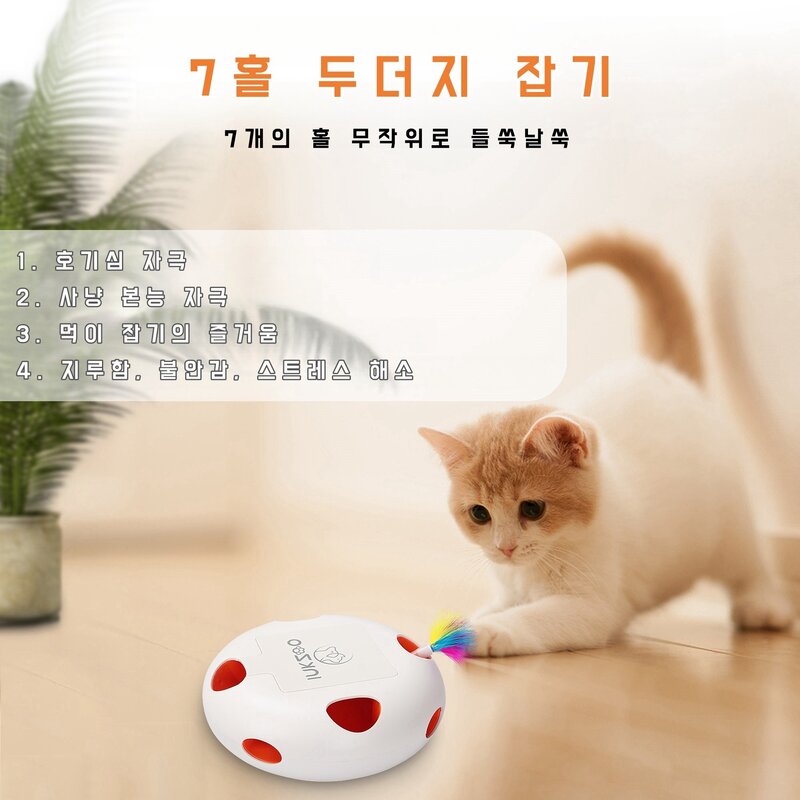 비비코코 고양이 자동 장난감 스마트캣토이, 오렌지, 1개