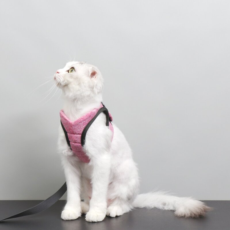 에어핏 고양이 전용 하네스 목줄 산책줄 아기고양이 가슴줄 세트