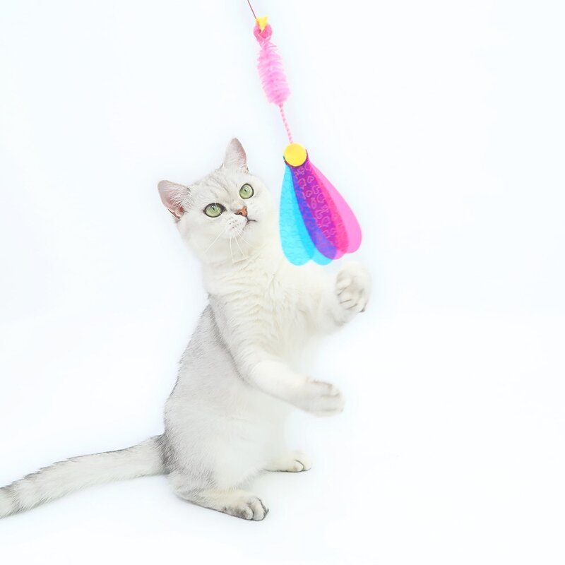 팻츠루트 카샤카샤 붕붕 고양이 장난감, 잠자리, 3개