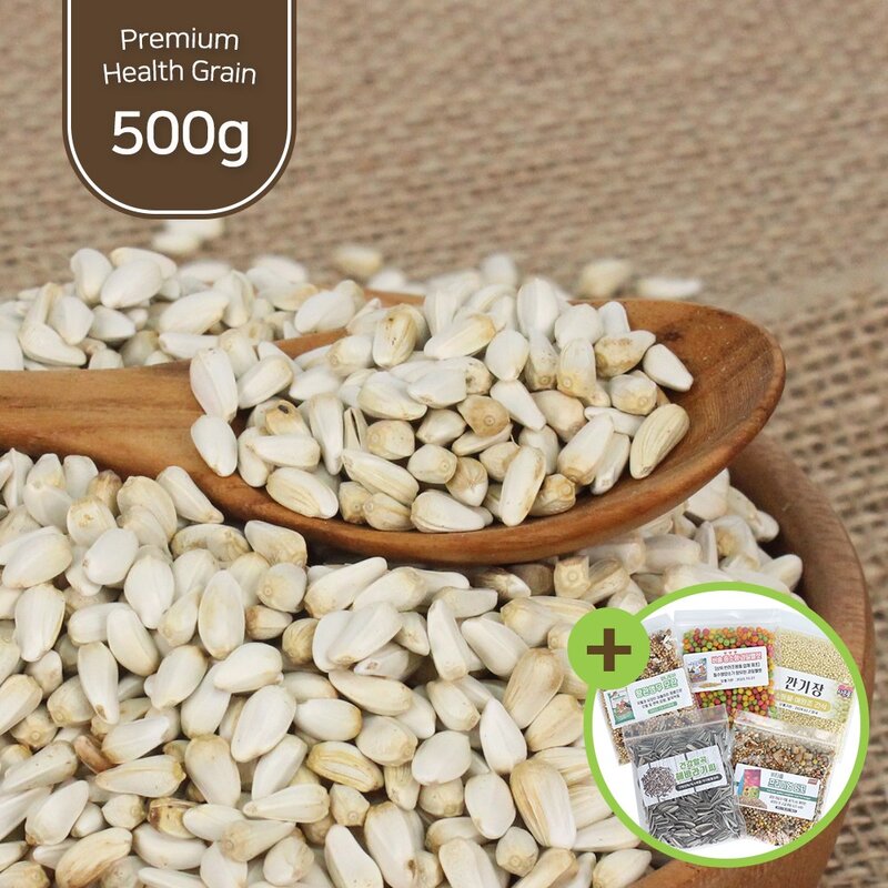 건강알곡 홍화씨 500g 앵무새 햄스터간식 칼슘 뼈건강, 500g, 1개