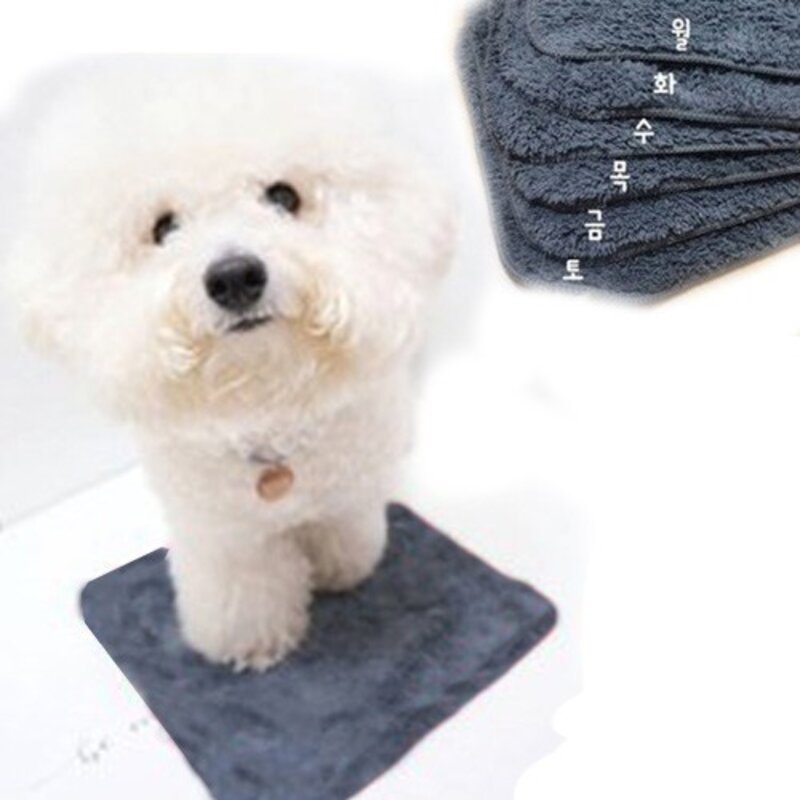 플라잉곰곰 반려동물 요일 극세사 드라이타월 7p