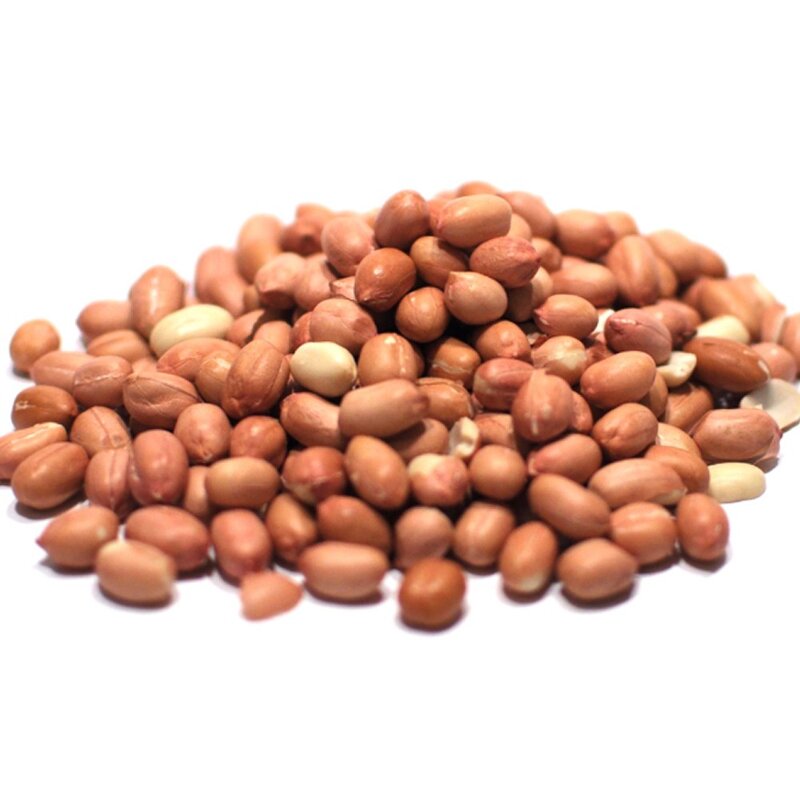 햄스터간식 먹이 무염 볶음 땅콩, 100g, 1개