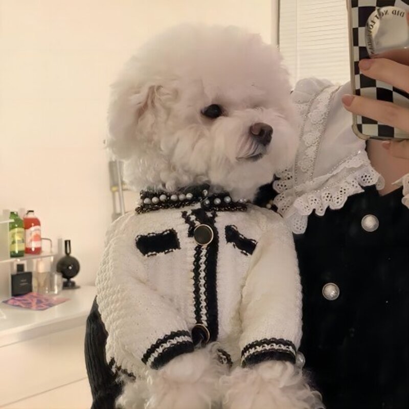 Zoopark반려동물 트위드 자켓 중소형견 가디건 S 화이트 1개