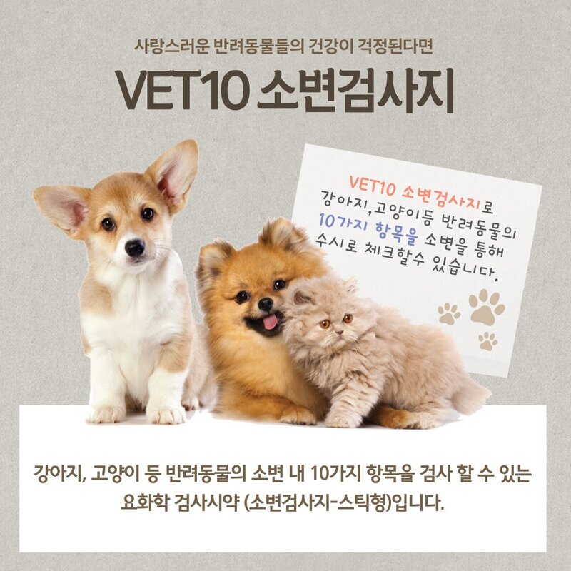 VET10 반려동물 강아지 고양이 소변검사 유린스틱 10종 질병검사 건강검진 진단키트 100회분 반려동물 소변검사 ... 1개