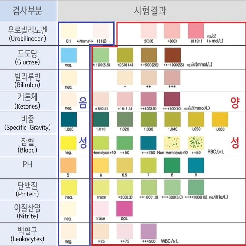 VET10 반려동물 강아지 고양이 소변검사 유린스틱 10종 질병검사 건강검진 진단키트 100회분 반려동물 소변검사 ... 1개