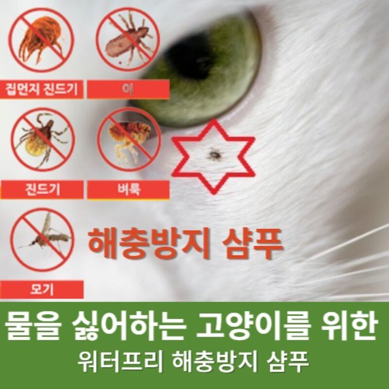 식품첨가물 등급 탈크 사용 고양이 물이 필요없는 드라이 파우더 샴푸 150g 외부기생충예방 150g 4개