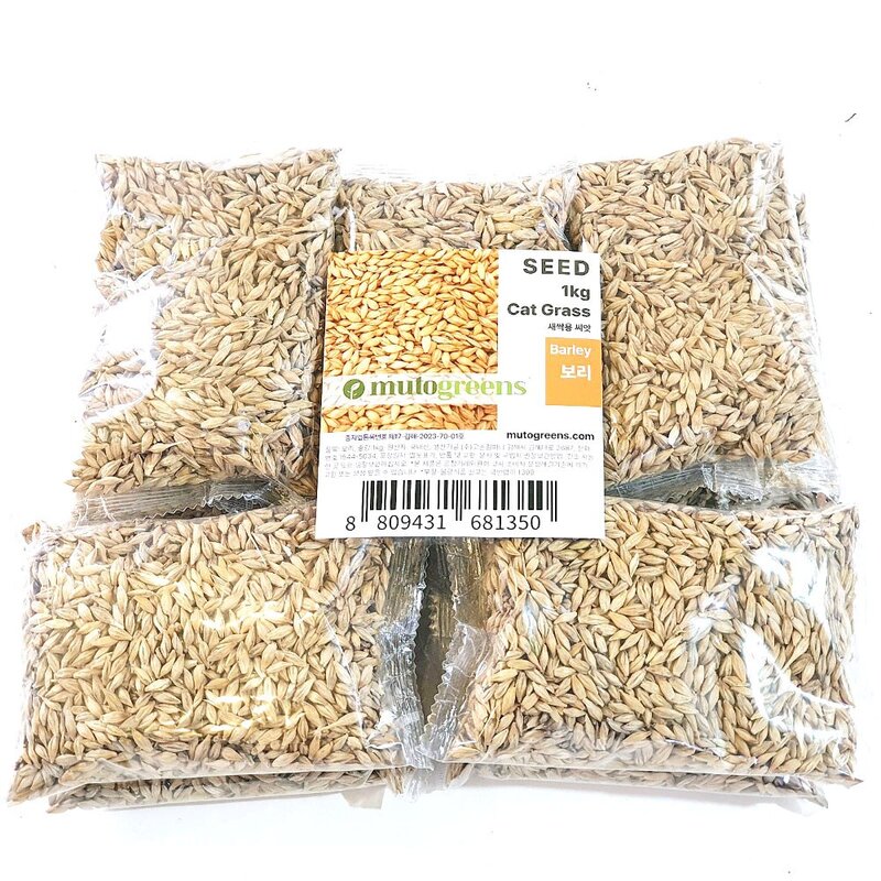 킴스팩토리 캣그라스 씨앗 1kg 고양이풀 캣닢 키우기 펫그라스 귀리씨앗 02 밀씨앗 1kg 1kg 1개