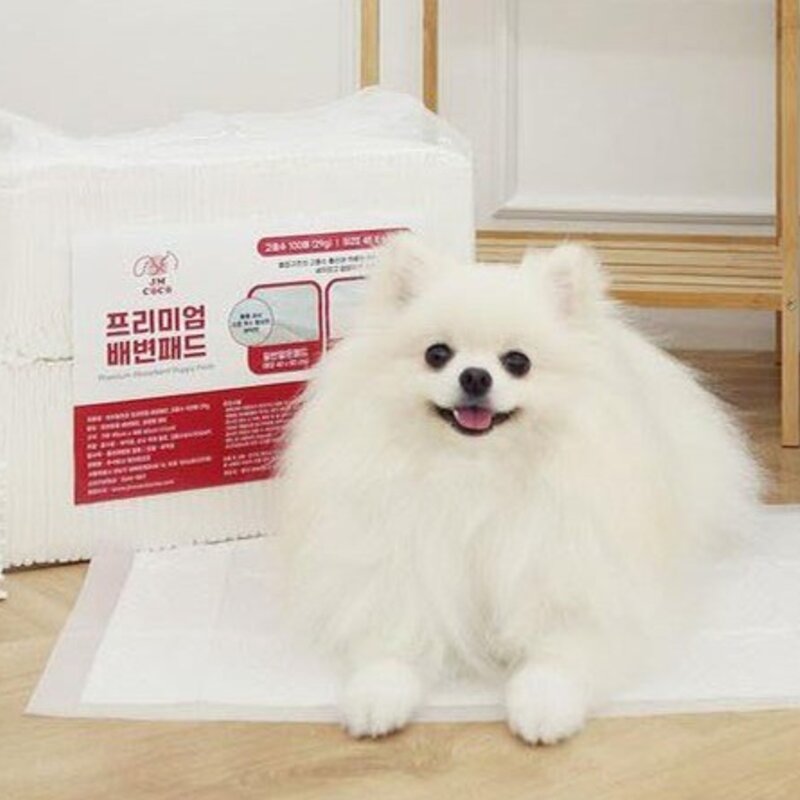 제이엠코코 프리미엄 배변패드 무향 29g 45 x 60 cm 100개입 1개