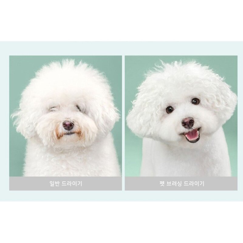 스마일펫 반려동물 그루밍 건조 드라이어, 1개