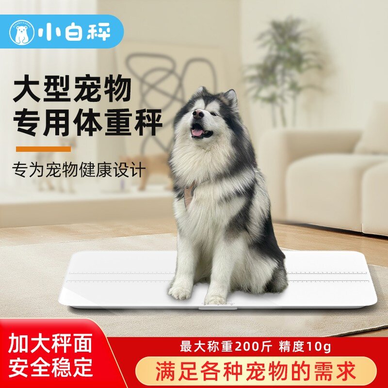 반려동물 체중계 강아지 펫샵 애견미용실 동물병원, 일반 화이트, 1개
