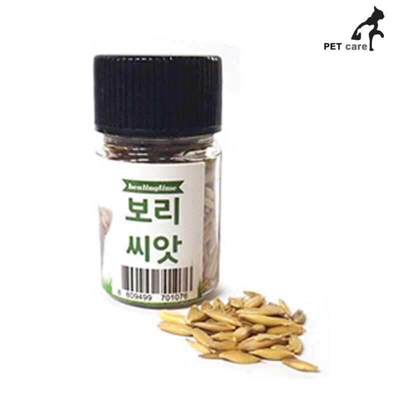 [신속상품] 헤어볼배출 스트레스해소 고양이힐링 1p 20g, 1, 본상품선택