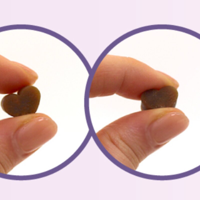 닥터조이 강아지 보스웰리아 케어 영양제 80g, 오리, 뼈/관절강화, 1개