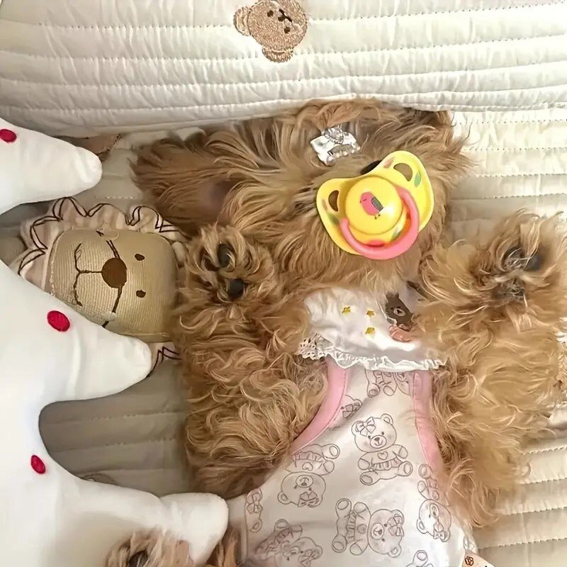 디위닉 고온소독 가능한 강아지 쪽쪽이 공갈젖꼭지 소형견 이갈이 장난감 3P