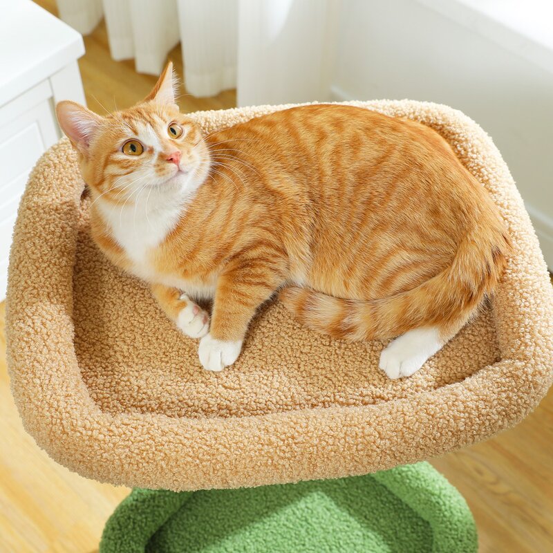 PAWZ Road 3단 소형 캣타워 고양이 하우스 낮은 플랫폼 숨숨집 기둥형 스크래쳐 패브릭 68cm 핑크 1개