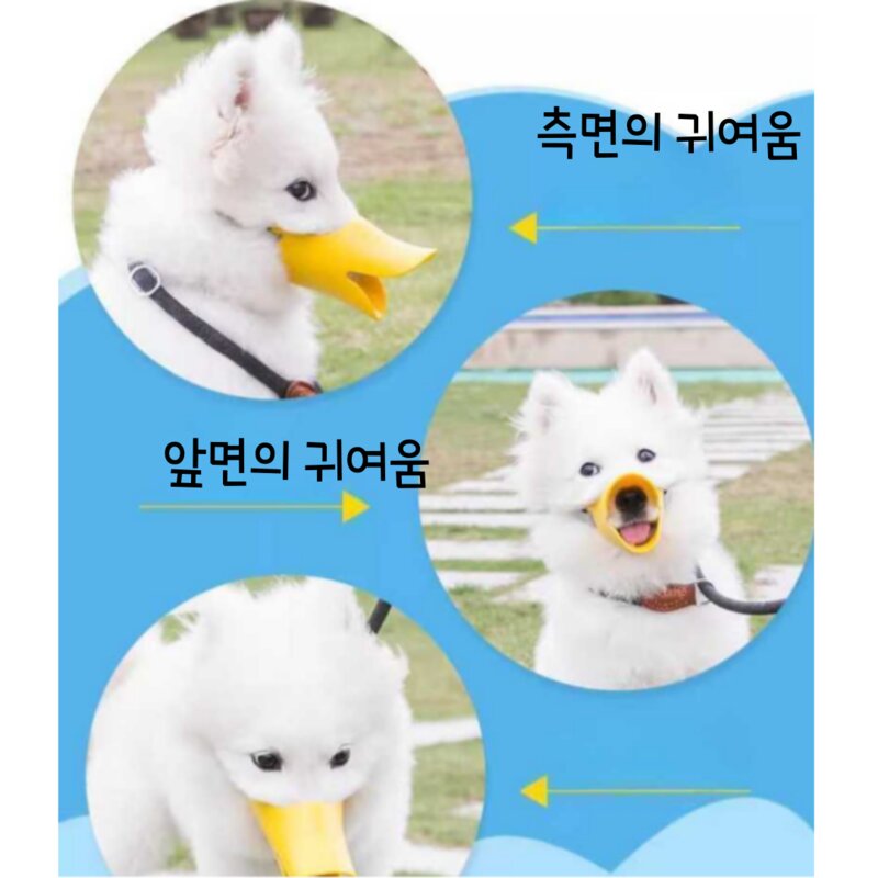 컴즈어라운드 말랑 말랑한 강아지 오리 입마개 미디움M 1개